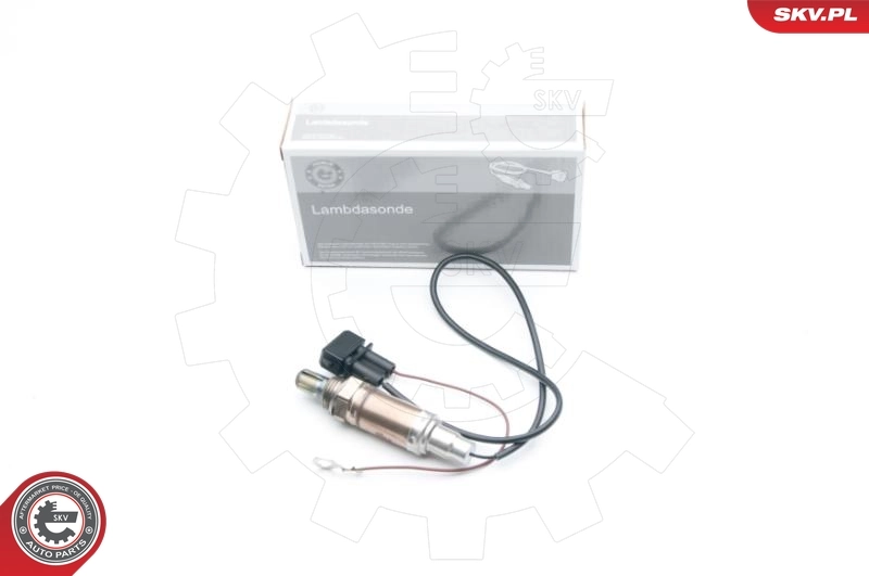 Oxygen Sensor